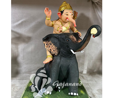 Ganesh-Murthi-Gajanand