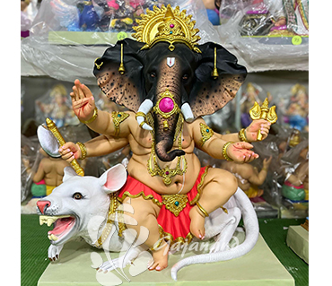Ganesh-Murthi-Gajanand
